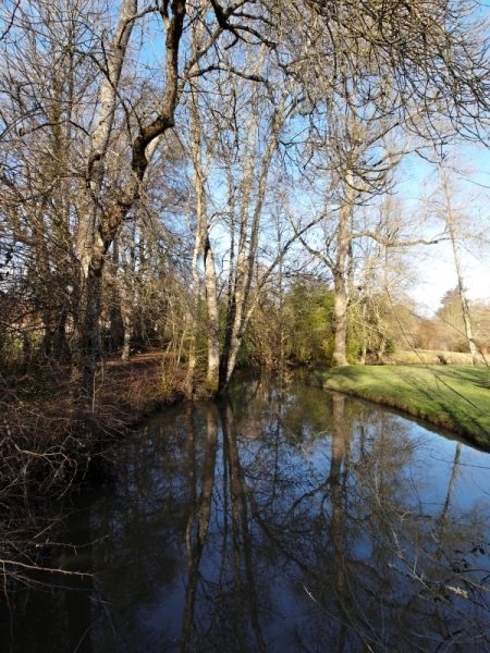 Ligny le Ribault.jpg